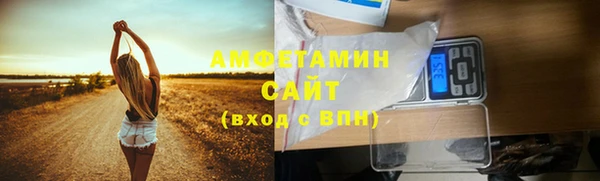 стаф Алзамай