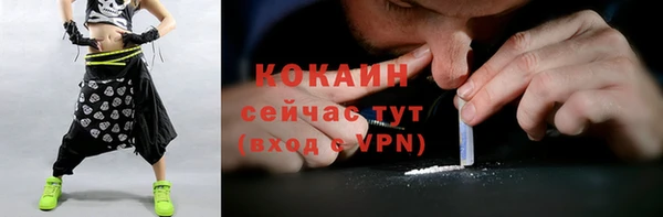 кокс Алексин