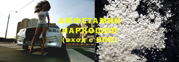 стаф Алзамай